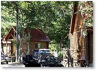 �L�Y���X�ь���image