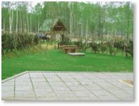 ��u�X�ь������L�����v��image