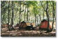 とことん山キャンプ場