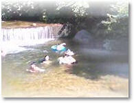 �ܓ��R�[�������̐Ximage