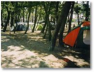 �l����L�����v��image