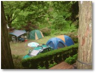 フォレストパーティ峰山image