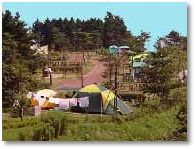 だるま山高原キャンプ場image