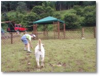 �ɓ����R���L�����v�t�B�[���himage
