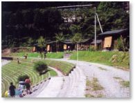 細野渓流キャンプ場