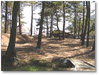 羅漢山青少年旅行村