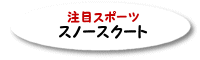 ���ڃX�|�[�c�E�X�m�[�X�N�[�g�I