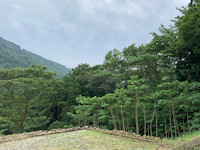 湧水の杜 大川オートキャンプ場