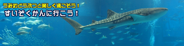北海道 東北の水族館 北海道 東北の水族館
